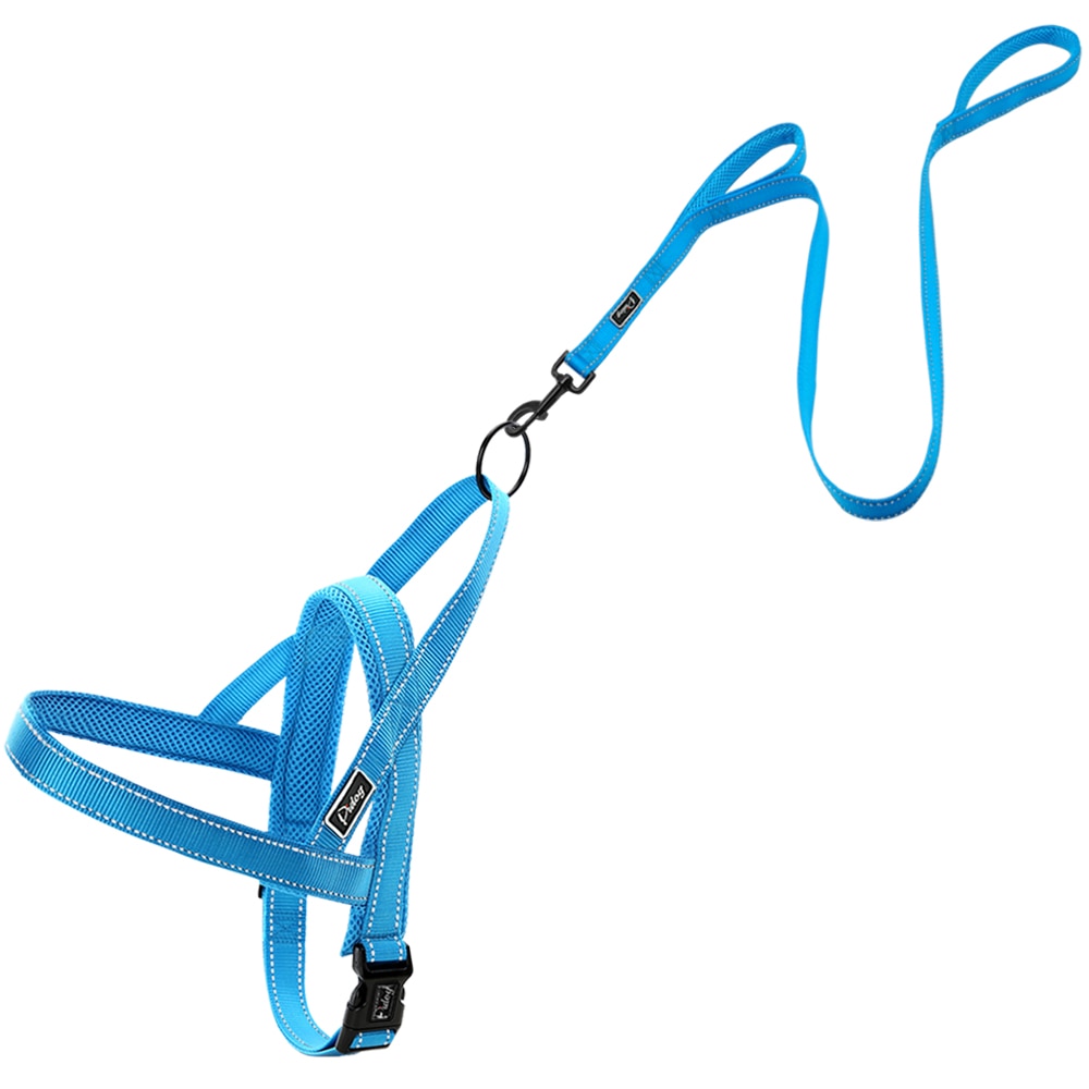 Conjunto de Correa y arnés reflectante sin tirones para perro, chaleco para mascotas de plomo para perros pequeños y grandes, Perfecto para el entrenamiento diario XXS-L caminar: XXS / Blue Set