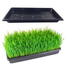 Maceta para planta de semillero multifunción Almacenamiento de plantas celulares cultivo de planta de macetas reproducción de semillas bandeja de plántulas
