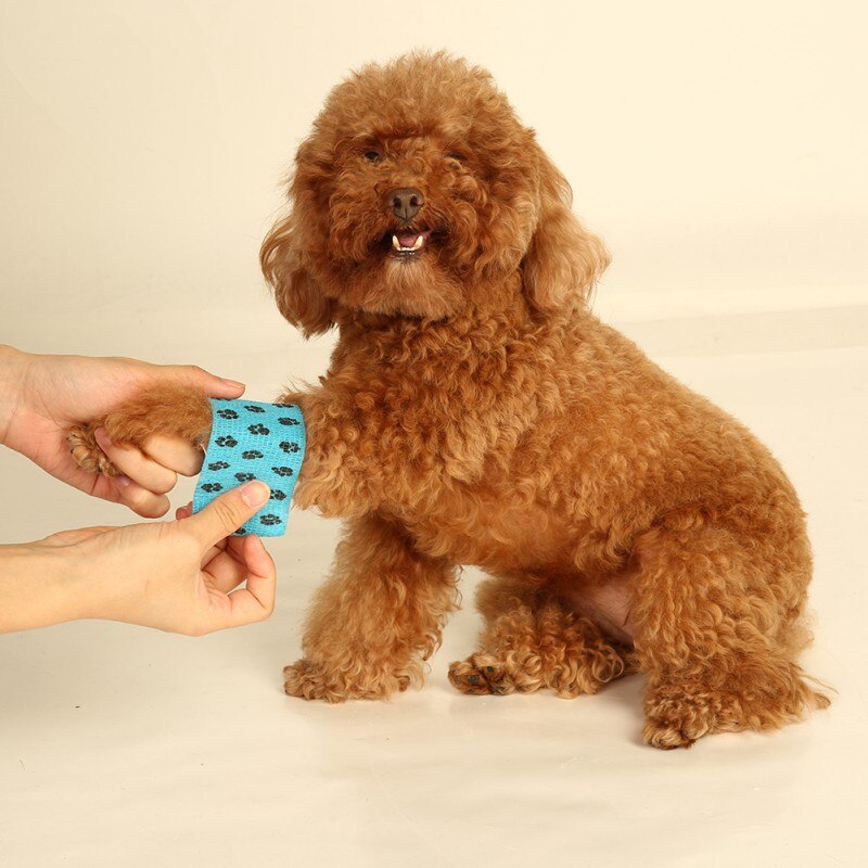 Zelfklevende, ademende bandage voor honden, huisdierbenodigdheden, zelfklevende verbanden voor honden 1