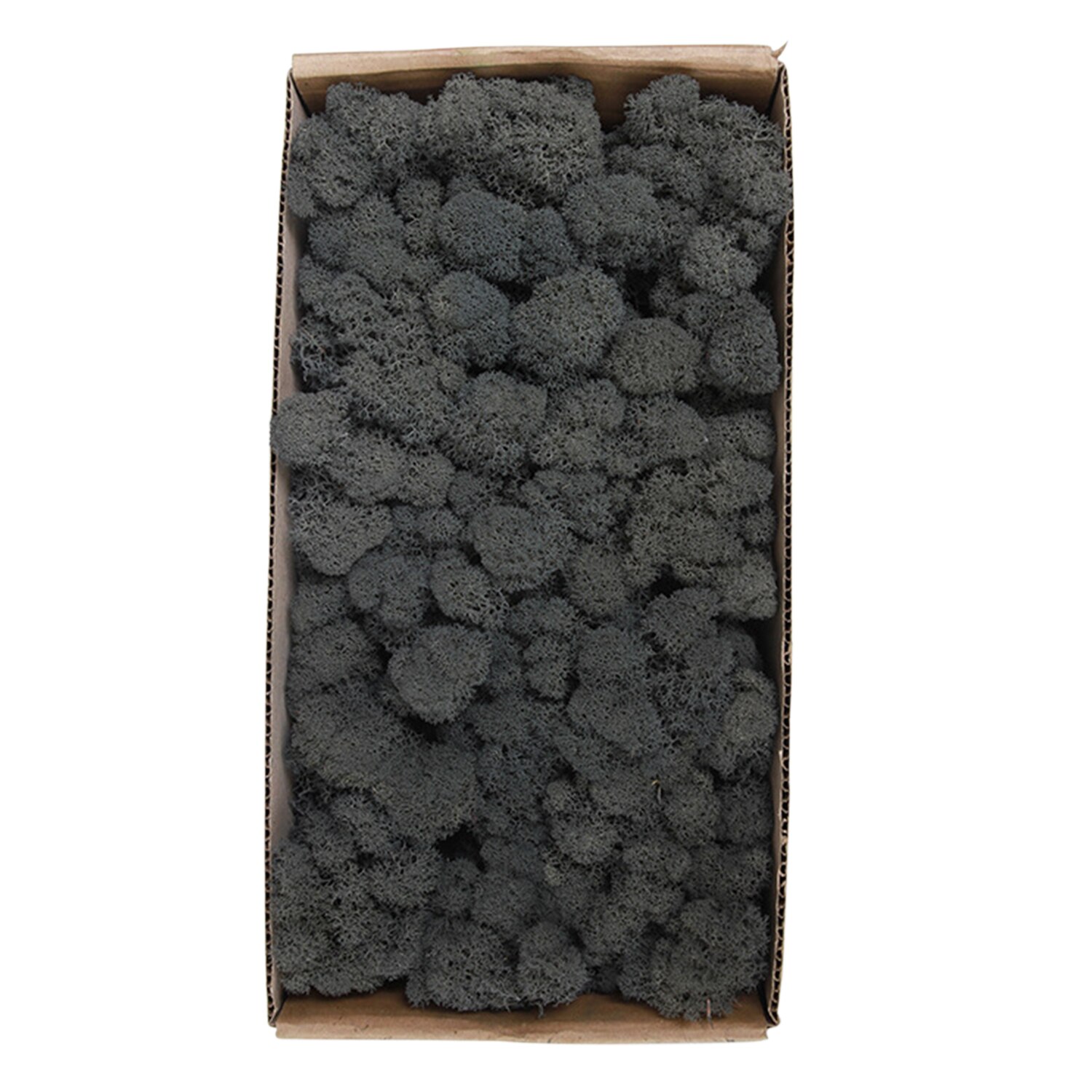 Preserved Moss Wall Decor Real Preserved Moss No Maintenance Required Naturally Preserved Moss Home Wall Party Festivals Crafts: Type 15