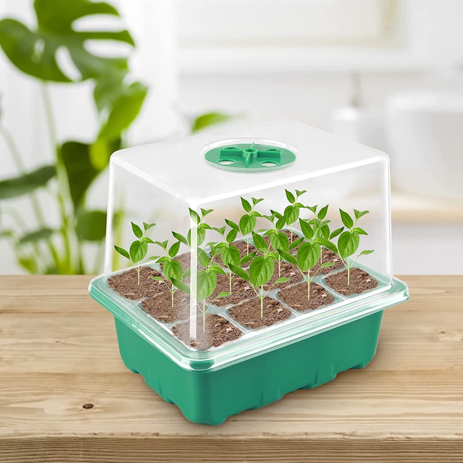 12 Cells Seed Starter Kit Plant Seeds Grow Box cSeedling Trays Germination Box with Humidity Dome and Base for Greenhouse