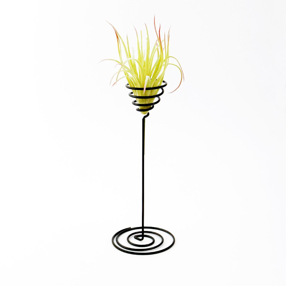 3 pcs tillandsia houder Ijzer Air Plant Stand Container Tillandsia Houder Tafelblad Plant Pot Display Rack Vaas met Iron Base