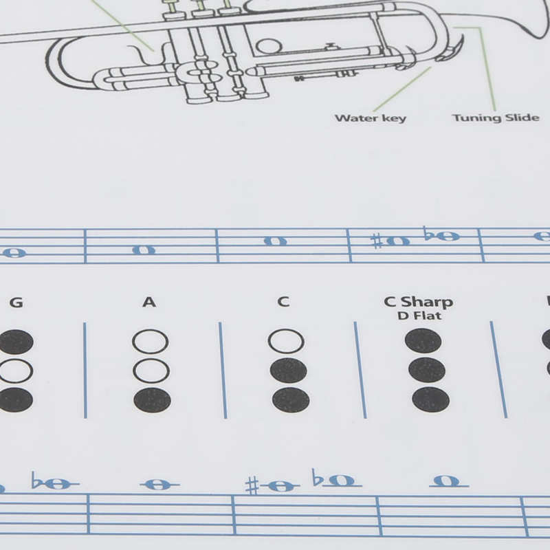 Trumpet Chord Chart Trumpets Note Guide Clear for Home