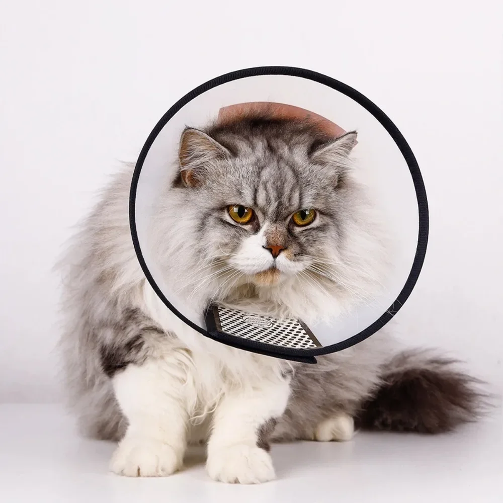 Hond Kat Huisdier Elizabethaanse Halsband voor Honden Comfortabele Kegels Om Likken te stoppen Beschermende Halsband voor Hond Na Chirurgie Anti-Bite Likken