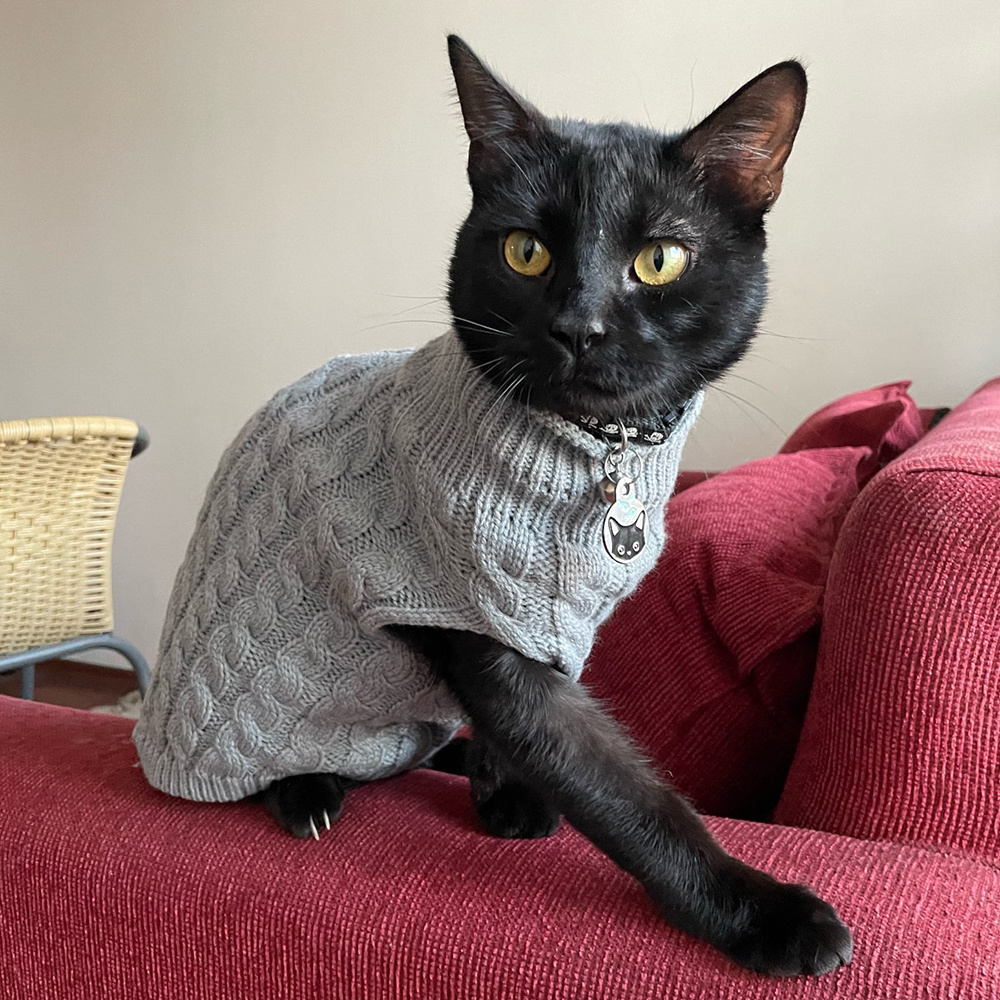 Suéter de punto cálido para gatos Sphynx, ropa de invierno para mascotas, ropa para gatos, jerséis para cachorros y gatitos Katten Kedi, ropa para gatos