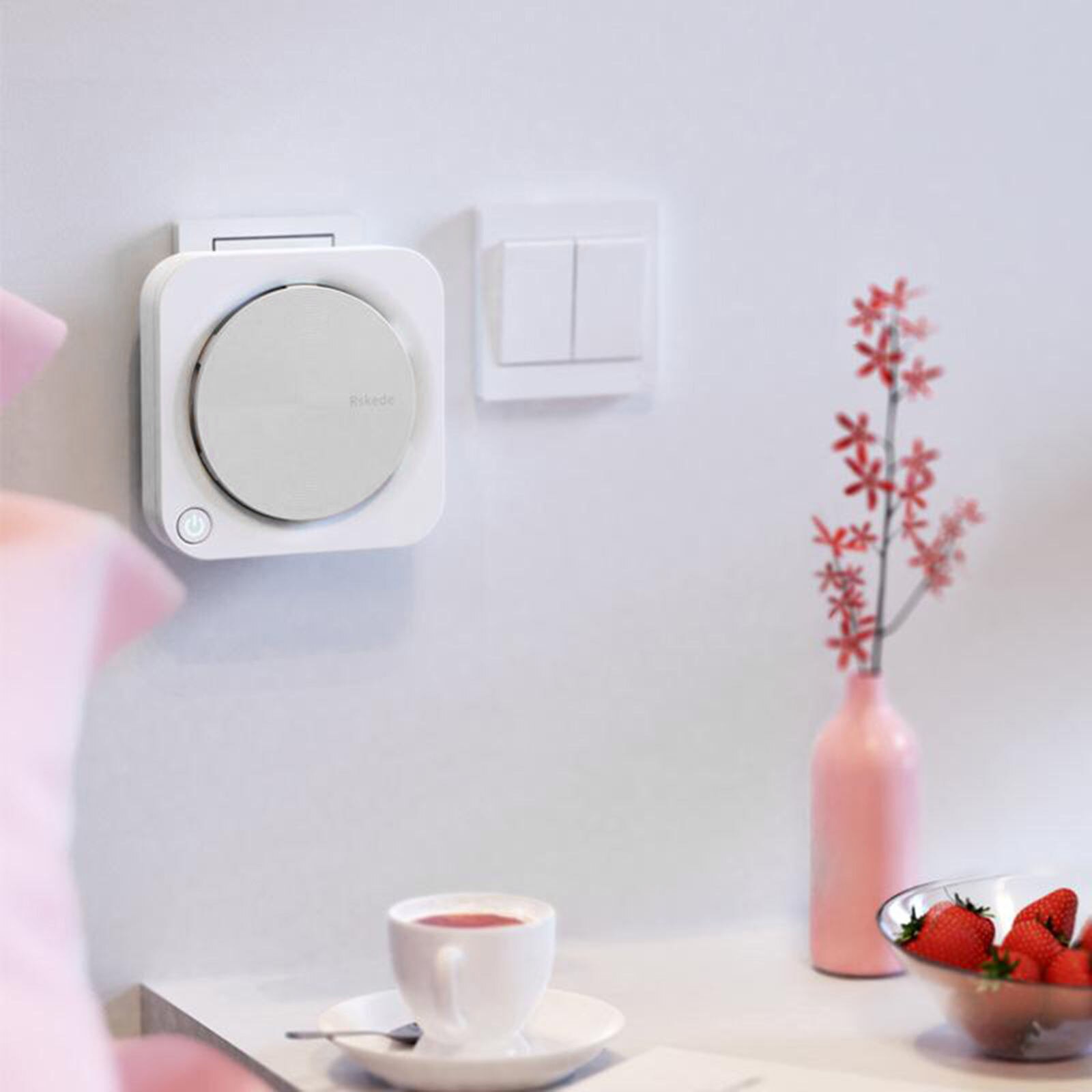 Air Purifier for Home Ozone Negative Ion Generator Odor