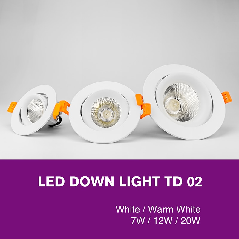 Led Downlight Light COB Ceiling Spot Light 20W 12W 7W Epistar LED Round Recessed Lamp 220V For Indoor Lighting White Warm White