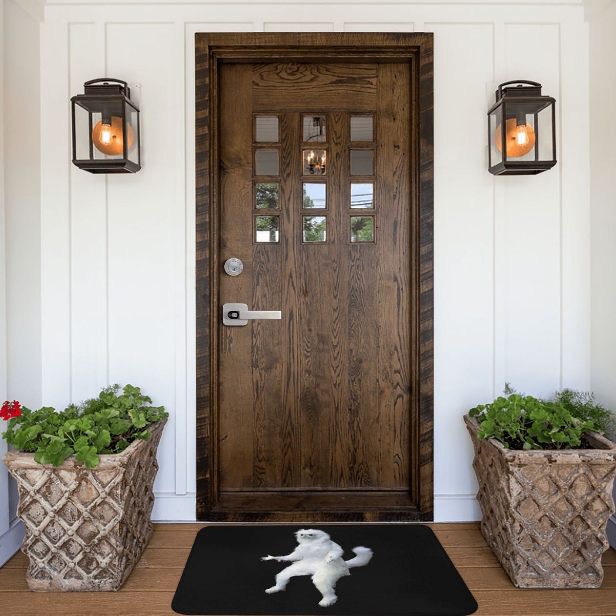 Persian Cat Room Guardian Meme Classic Bath Door Mat Rug Carpet Decor Entrance Living Room Home Kitchen Bedroom Removal Balcony