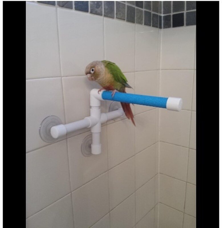 Parot Toys Bird Toys Parrot Stand Parrot Shower Holder Parrot Standing Toy Portable Suction Cup Parrot Bath Stands Suppllies