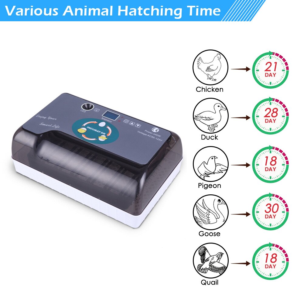 12 Automatic Egg Incubator Brooder Farm Hatchery Machine Poultry Chicken Bird Quail Brooder Machine Livestock Breeding Equipment