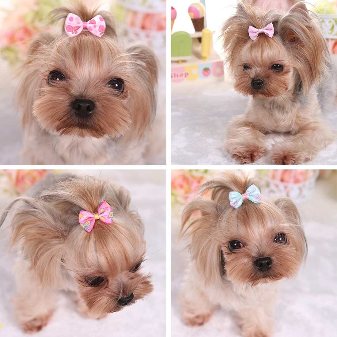 Mix Colors 20Pcs Cute Ribbon Pet Grooming Accessories Handmade Small Dog Cat Hair Bows With Elastic Rubber Band
