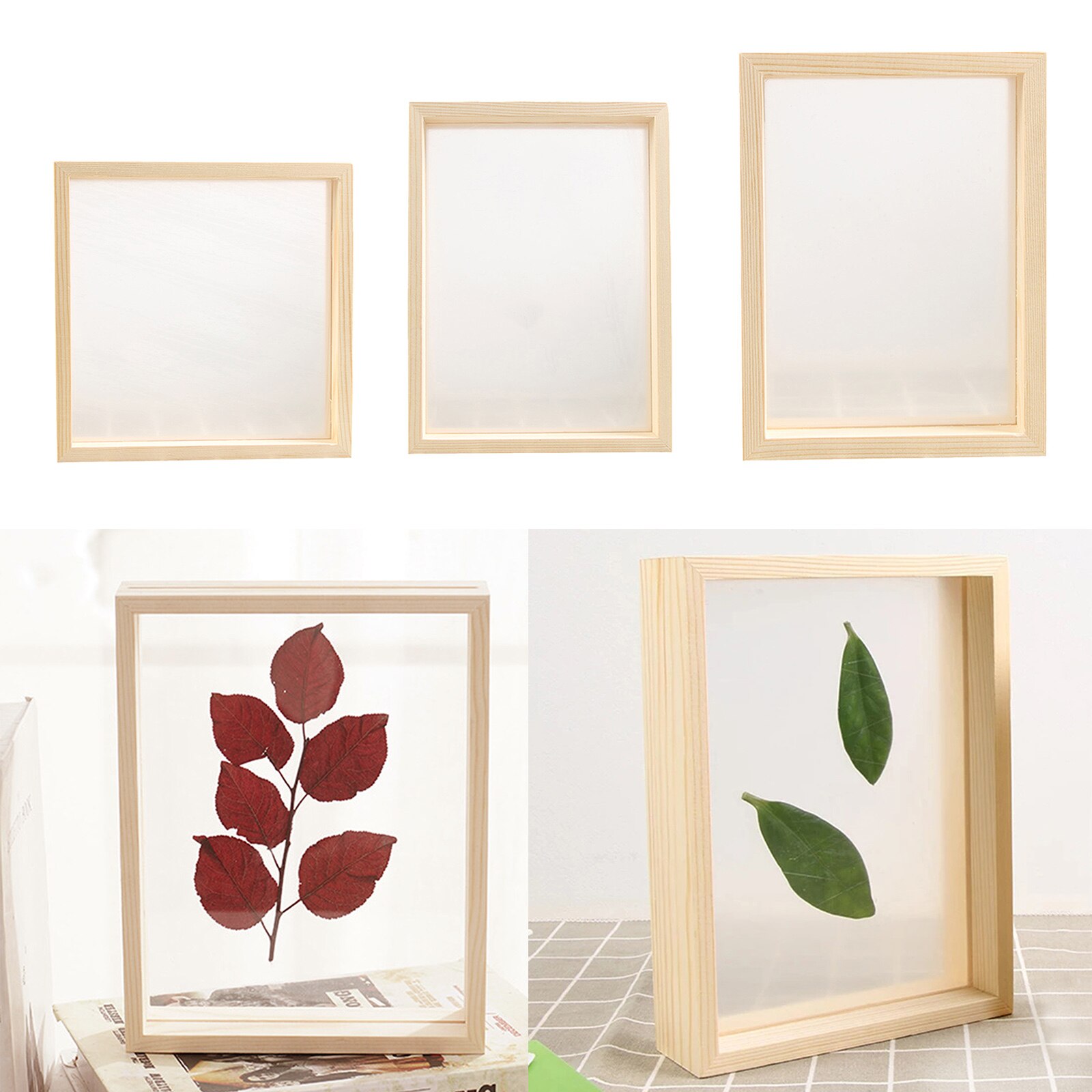 Plant Specimen Photo Frame Support Family Picture Holder Decor Artwork