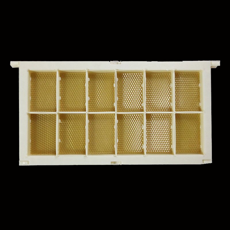 Beekeeping Tools Beehive Supplies Honeycomb Frame for 250g Honey Box Beekeeper Products Bee Keeping Equipment Accessories