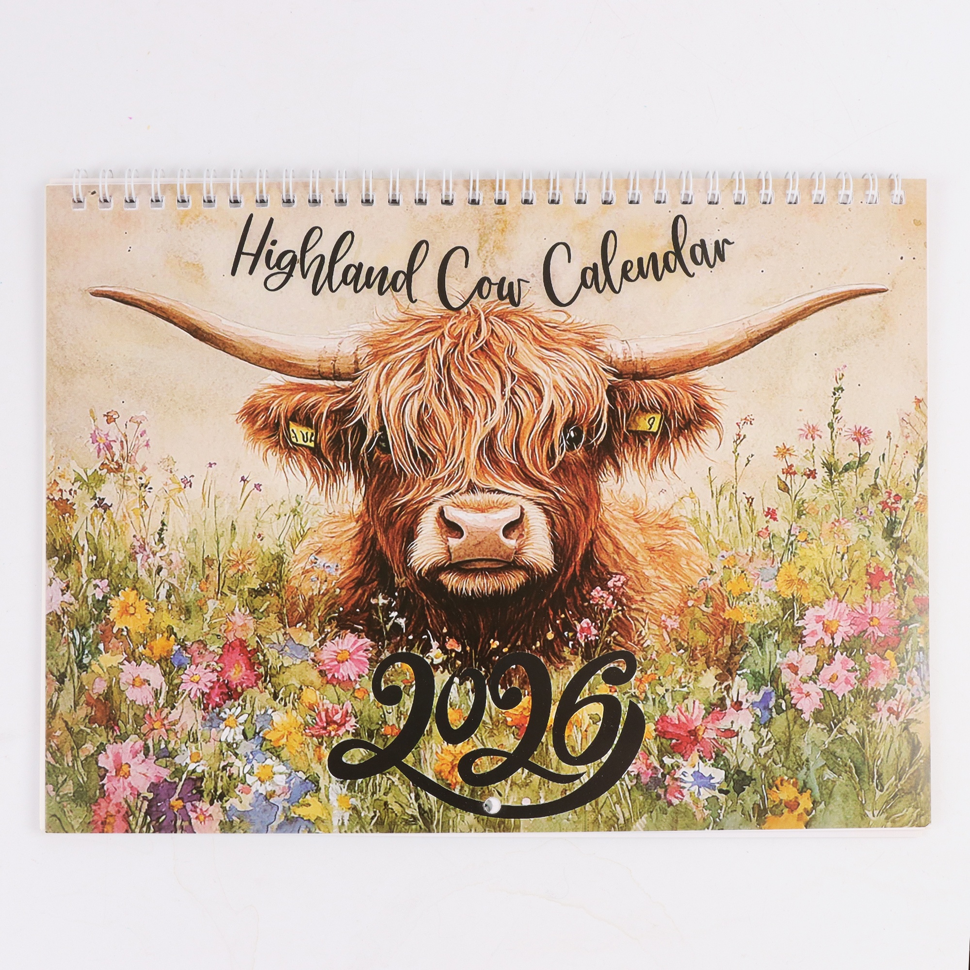 Highland Cow Wall Calendar - Scottish Cattle Daily Planner, Yearly Schedule & Month Notebook for Home Office Decor: Default Title