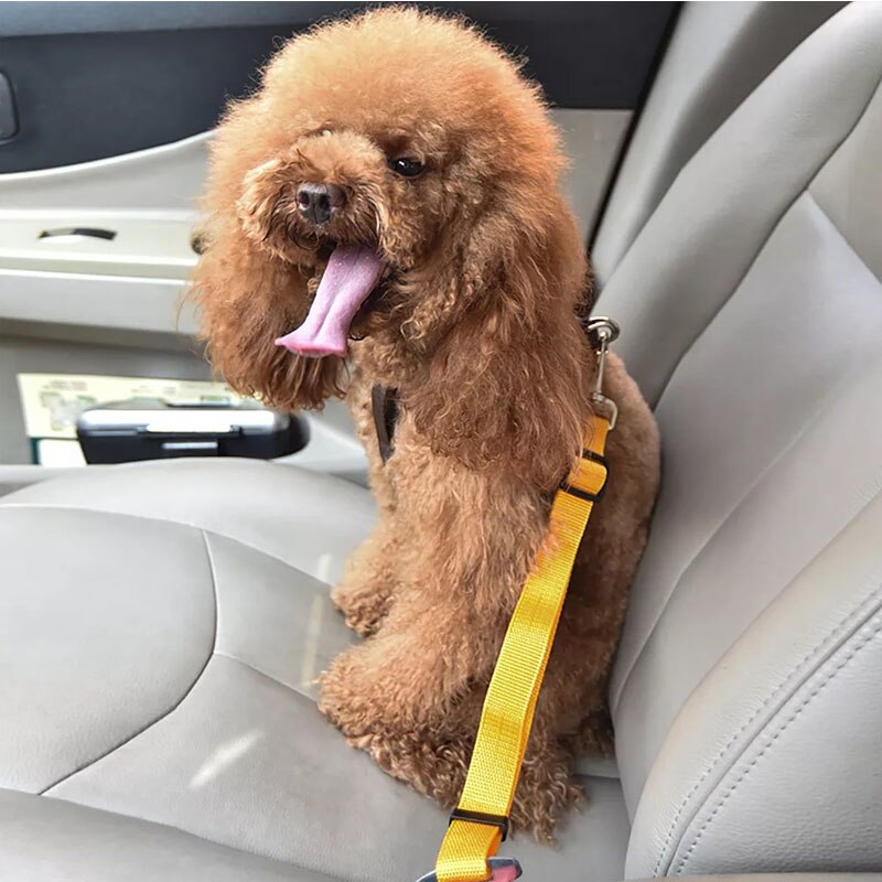 Verstelbare Hond Kat Autogordel Huisdier Autogordel Leash Voor Honden Reizen Tractie Kraag Harness Hondenriem Clip hond Accessoires