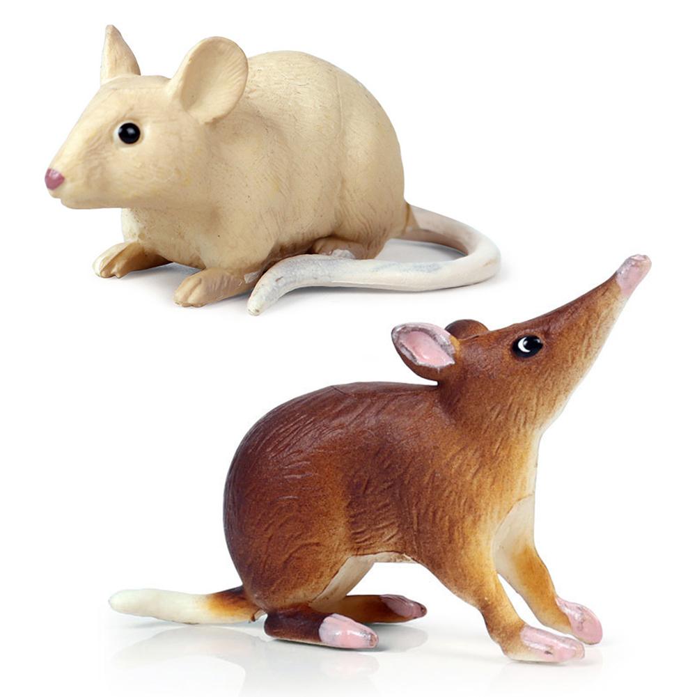 Realistisk mus rotte opossum dyremodel figurer skrivebordsindretning uddannelse børnelegetøj