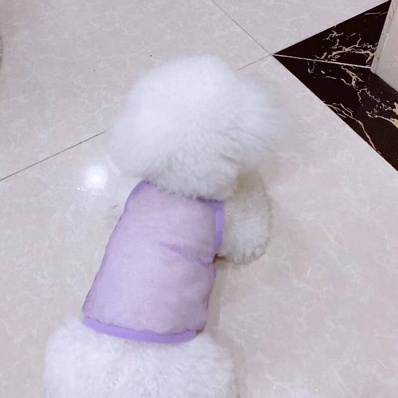 Fransk bulldog hund vest sommer åndedræt super cool tøj små mellemstore hunde chihuahua mops schnauzer gzc 38