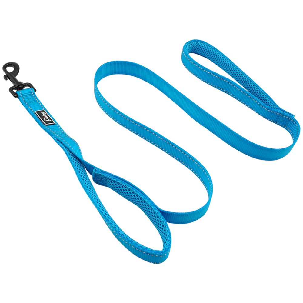 2 Handles Nylon Padded Double Handle Leash For Greater Control For Medium Large Dog Dual Padded Handles Protect Dog in Traffic: Blue