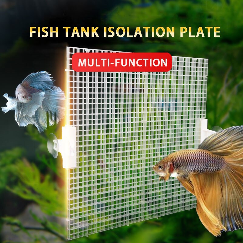 Filtro debajo de grava para acuario divisor de rejilla de aislamiento de peces, suministros de limpieza de esponja, placa de filtración de red