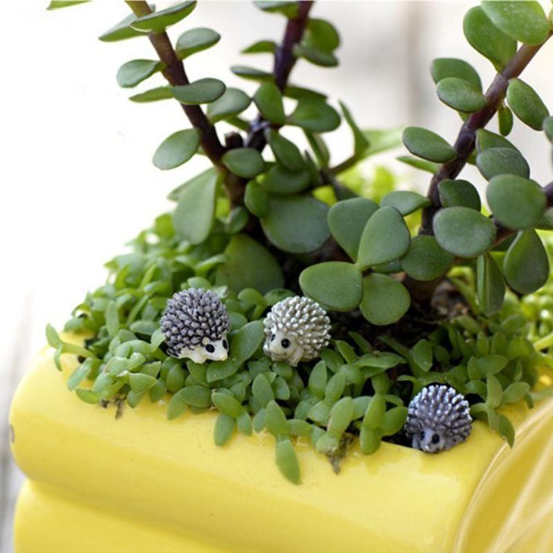 WINOMO 10 sztuk miniaturowy jeż pejzaż z ogrodem ozdoby robić dekoracji