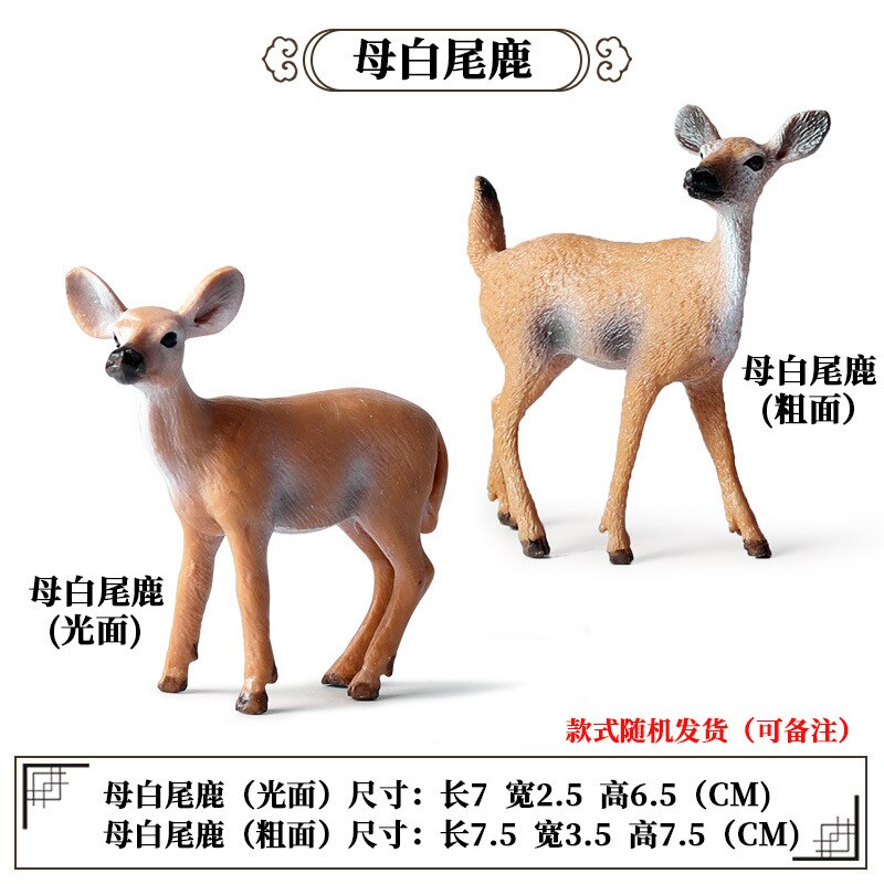 2 Stuks Wild Jungle Zoo Animal Model Actiefiguren Leeuw Tige Rhino Cheetah Collection Beeldjes Educatief Speelgoed Voor Kinderen: 2pcs Female deer