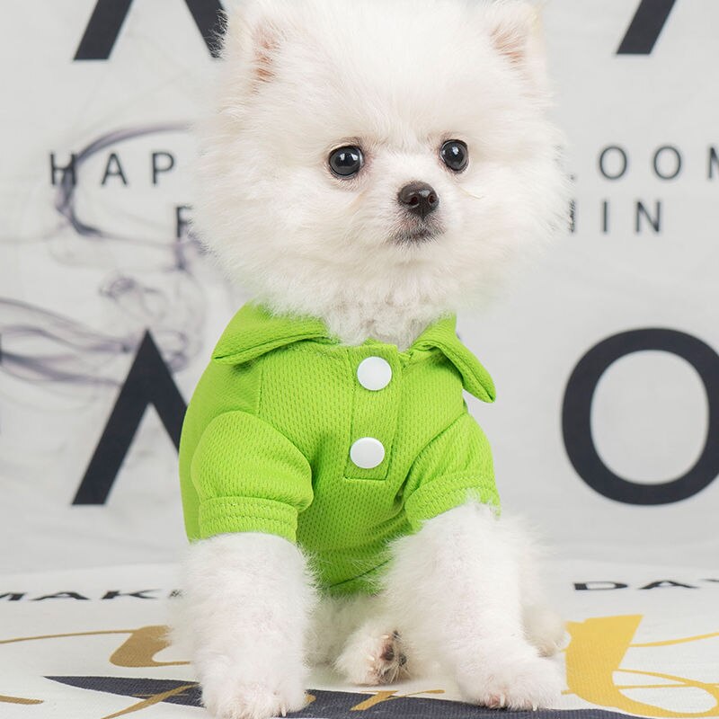 Mode Hond Kleding Lente Huisdieren Honden Kleding Voor Kleine Middelgrote Honden Kostuum Leisure Hond Hoodie Chihuahua Puppy Outfit Ropa Perro
