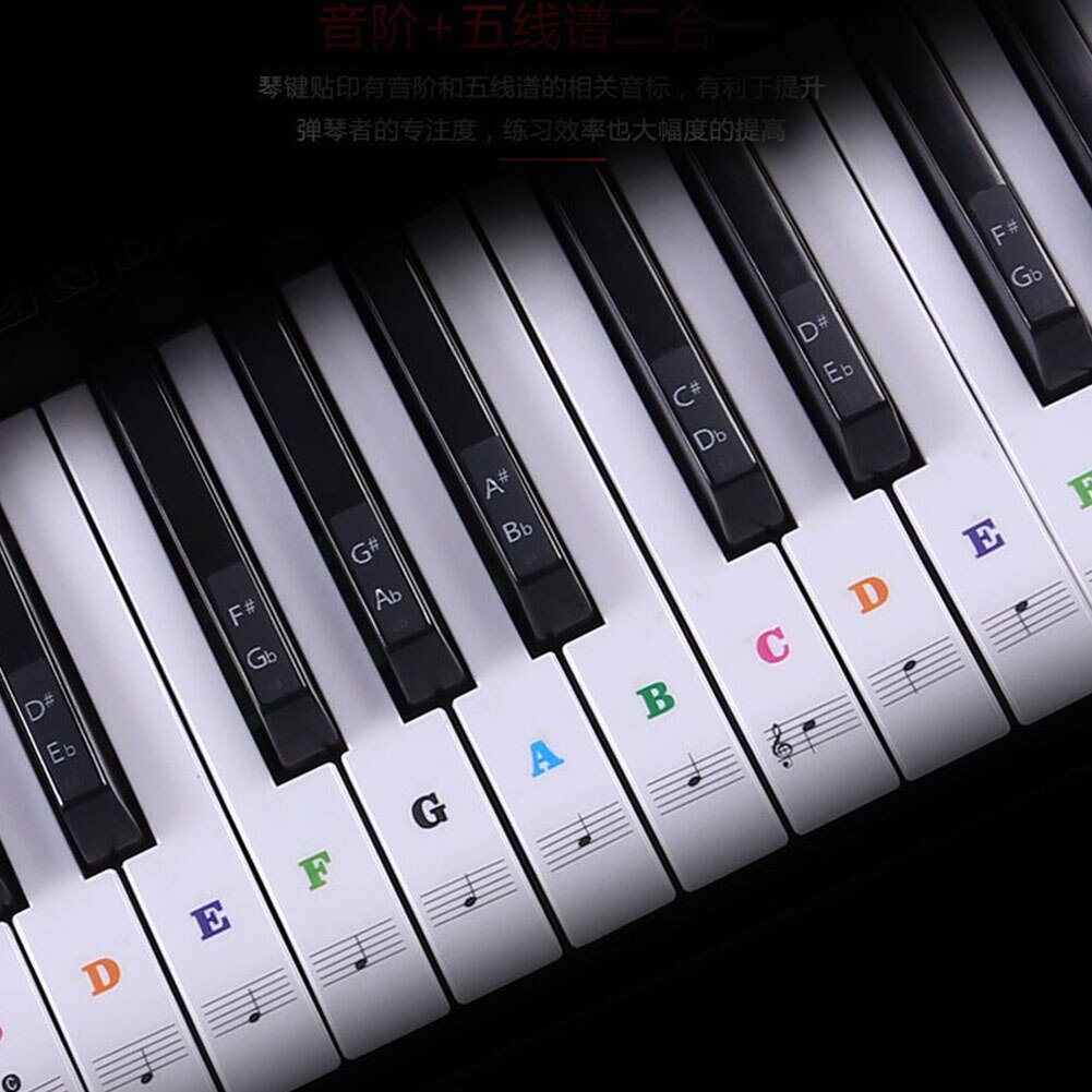 33/49/54/61/88 color Transparent Piano Keyboard Stickers Electronic Keyboard Key Piano Stave Note Sticker Symbol for White Keys