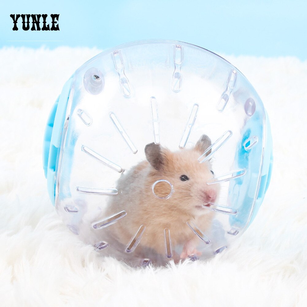 Plastic Outdoor Sport Ball Grounder Rat Small Pet Rodent Mice Jogging Ball Toy Hamster Gerbil Rat Exercise Balls Play Toys