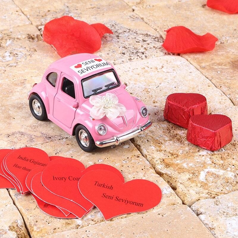 Pink Color Love Carriage Beetle