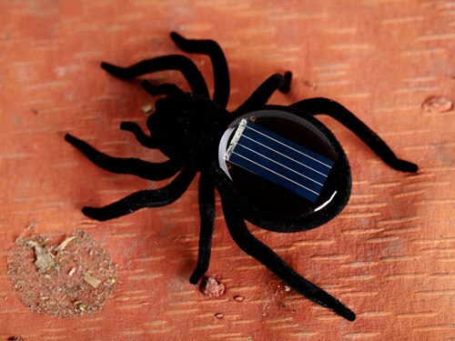 Solar Imitation Insect Toys Ant Car Butterfly Cockroach grasshopper spider tortoise no need Battery Can run Funny ladybug toys: spider