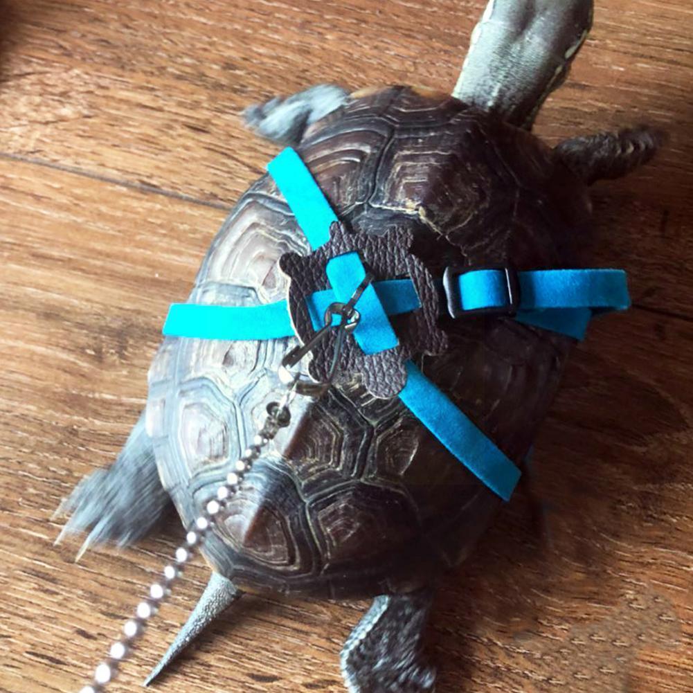 Harnais à corde de coton pour animaux domestiques, laisse, Cage de gerbille, fournitures, petit collier de Traction, corde aléatoire, couleur lézard, Hamster P X0s6