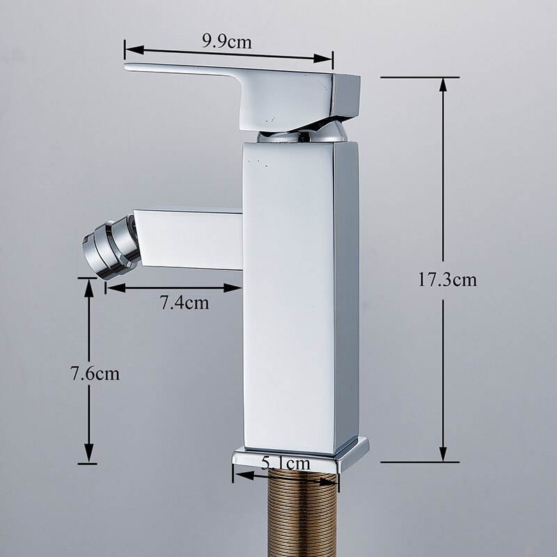 Vidric Badkamer Bidet Douche Set Bidet Kraan Bidet Douche Spray Bidet Mengkraan Badkamer Kraan Basin Wastafel Kraan