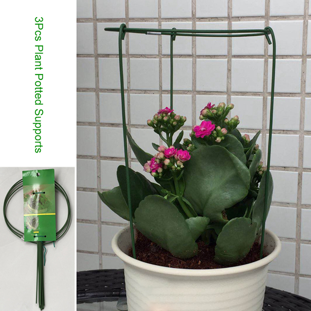 3Pcs Short Plant Support Ring Rust Resistant Flowe... – Grandado