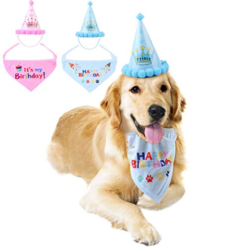 Tegneserie hund hat jumpsuit smallpet kat tøj hvalp fødselsdag kostume kæledyr hund fødselsdag hat sat til hund tillykke med fødselsdagen