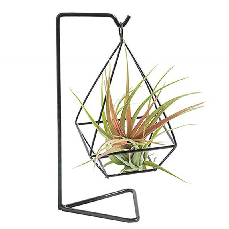 2 Stuks Air Plant Holder, Air Plant Terrarium, Air Plant Stand, moderne Stijl Air Plant Tafel Houder Vier Kant Beugel