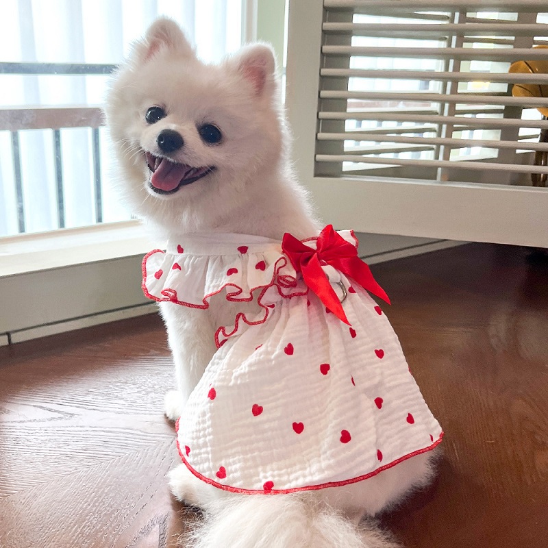 Robe rafraîchissante d'été pour chien, vêtements pour chiens, imprimé cœur, jupe pour animaux de compagnie, chaton, chiot, Chihuahua, Bichon, Yorkie, gilet pour chien pour filles