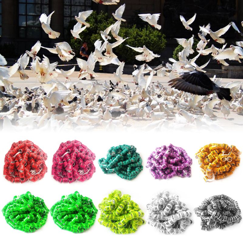 50Pcs 8mm Aluminum Bird Foot Rings Reusable Racing Pigeon Leg Clips Identify Dove Bands with Number Training Supplies Mix Colors