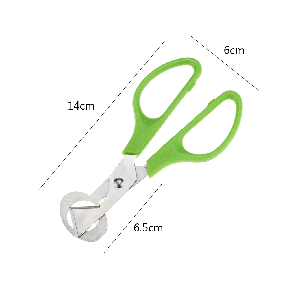 Coupe-œufs à caille, Pigeon ciseaux, coupe-œufs, ouvre-œufs, coupe-œufs, outil de ménage, accessoires Gadgets 1 pièce