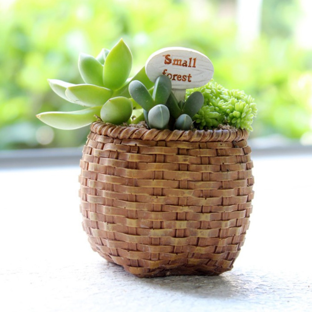Vintage stil harpiks saftig planter potte kaktus planter boks fairy hage dekor diy hjemme desktop blomsterpotte