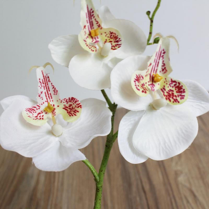 Tekokukka muovi orkidea silkkikukka koti mini phalaenopsis simulaatio kasvit hääjuhla koristelu kukkaoksa