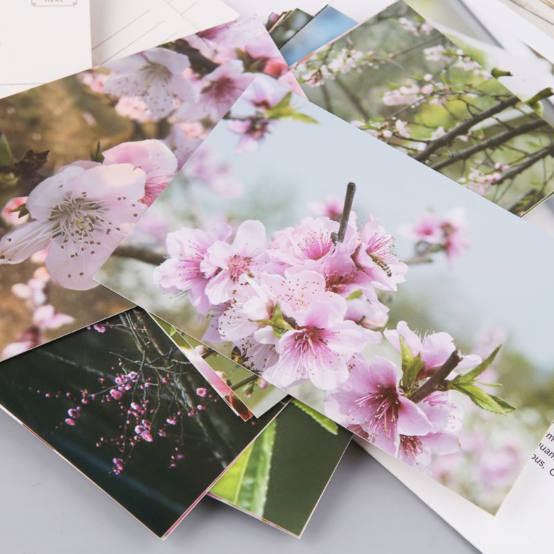 30 Sheets Peach Blossom Paintings Retro Vintage Postcard Christmas Card Wish Poster Cards G92E