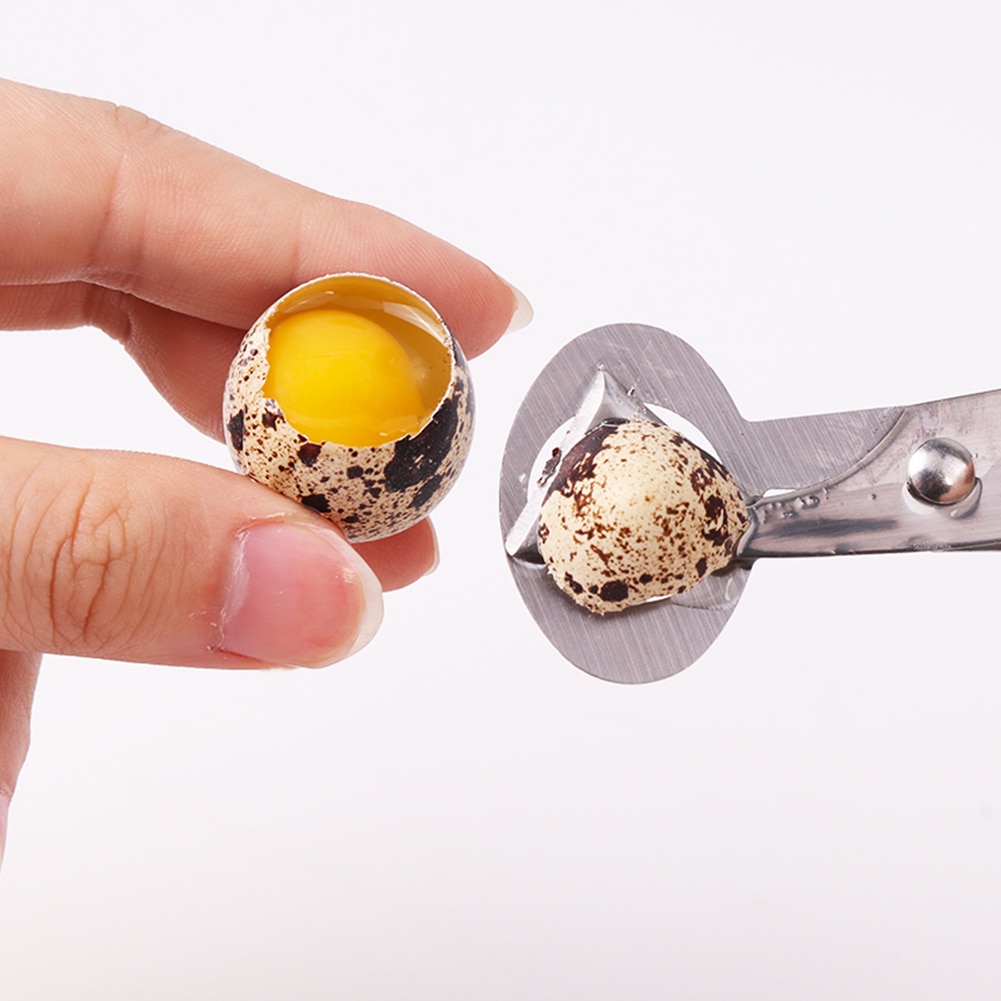 Rustfritt stål vaktel fugl egg skall åpner saks kutter klippemaskin kjøkken verktøy holdbart kjøkken rustbestandig vaktel egg åpner