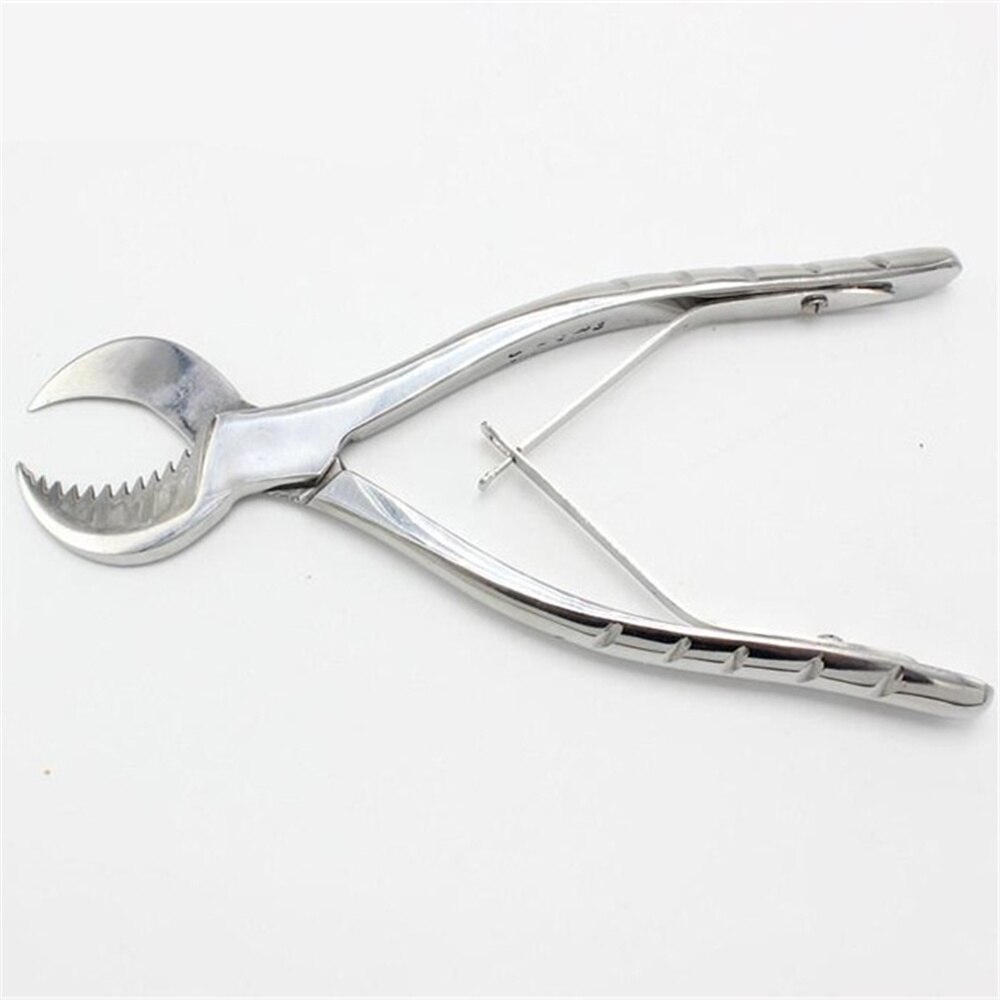 Ciseaux à plâtre pince coupante ciseaux à gypse laboratoire dentaire grand 20 cm petit 16 cm fournitures de laboratoire