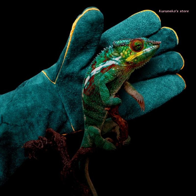 Wild Animals Handling Gloves Bite Proof Reptile Snake Lizard Protection Gloves HX6D