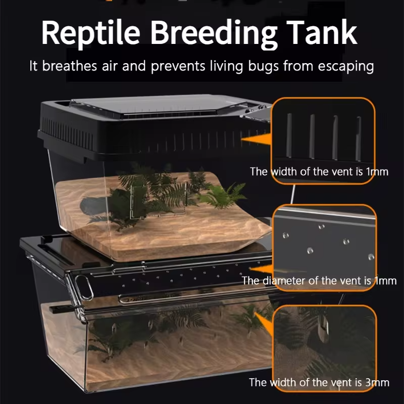 Reptielen Fokken Doos Ademend Anti-Escape Kooi Amfibieën Opfok Uitkomen Habitat Hagedis Kennel Schildpad Voeden Containers