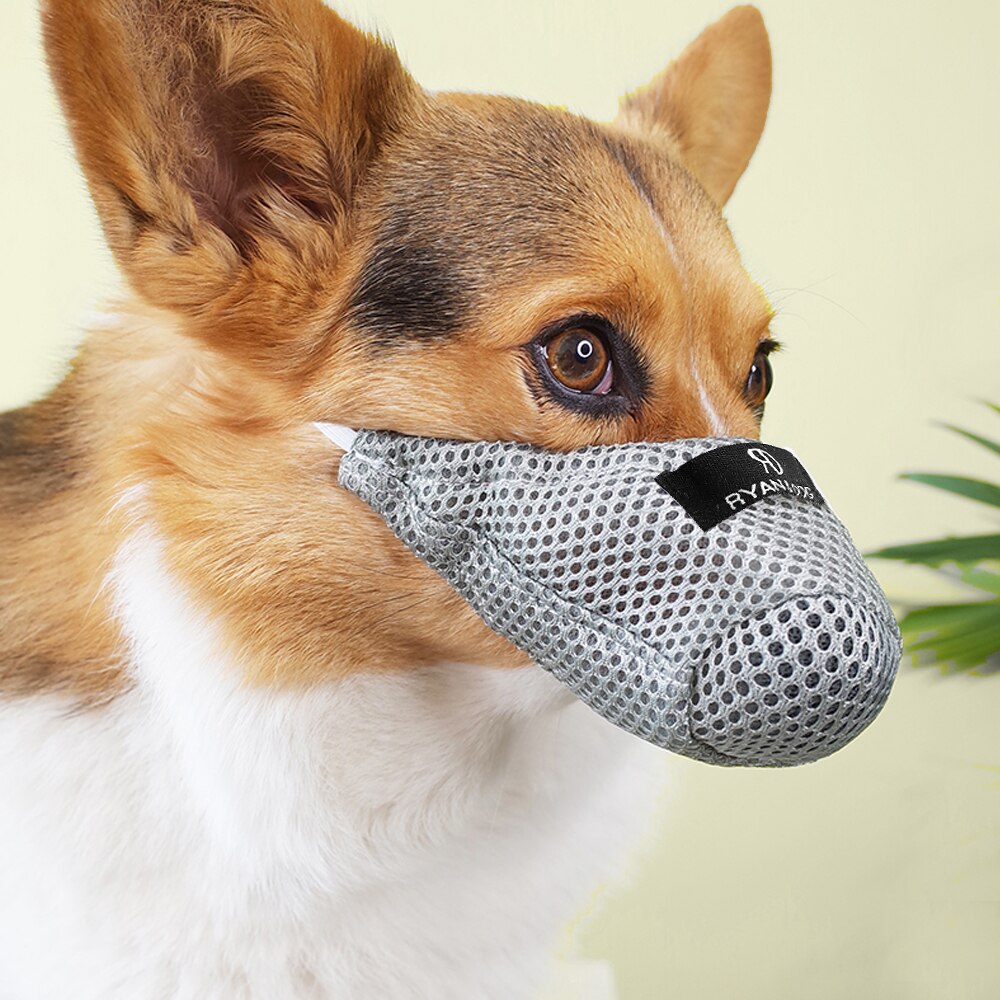 Hond Snuit Nylon Mesh Huisdier Mond Masker Anti Bark Bite Kauwen Hond Muilkorven Verstelbare Voor Kleine Grote Honden Training Huisdier accessoires: Grijs / M