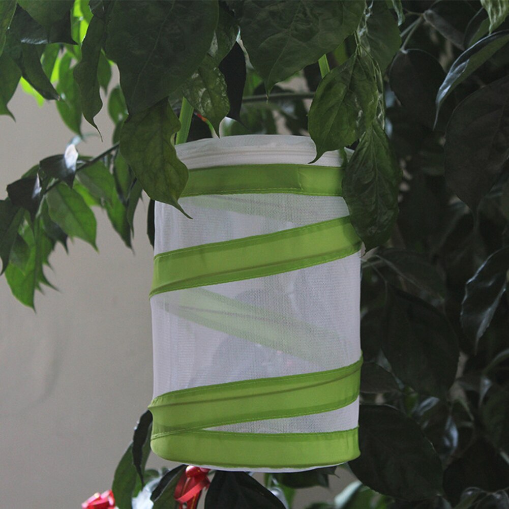Folding Insect Mesh Cage Butterfly Dragonfly Mantis Breathable Habitat Cage Breeding Feeding Container Catching Terrarium