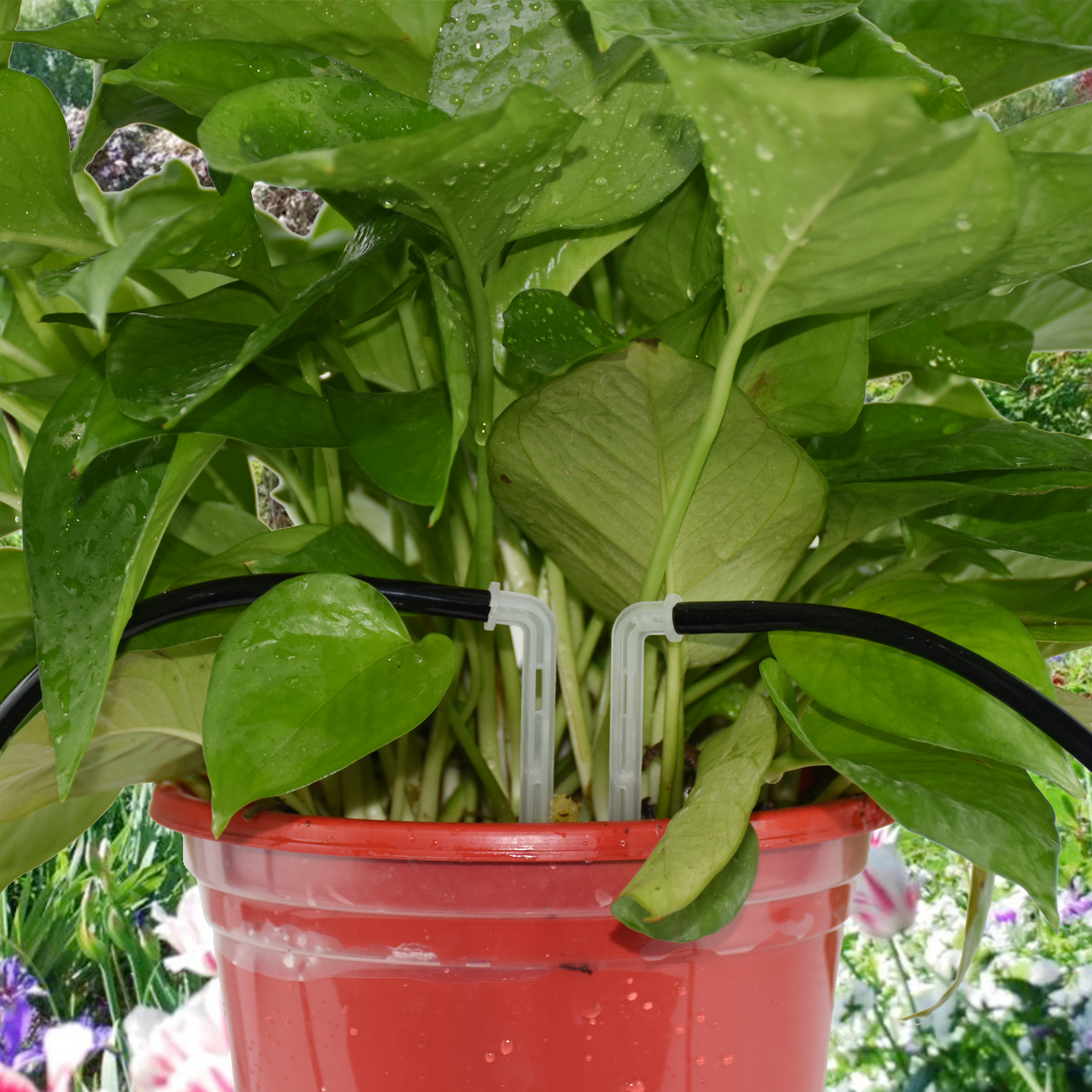 KESLA 5-50M Garden Drip Irrigation Kit 1/4'' Drippers Drip Arrow Watering System by for Balcony Bonsai Plant Flower