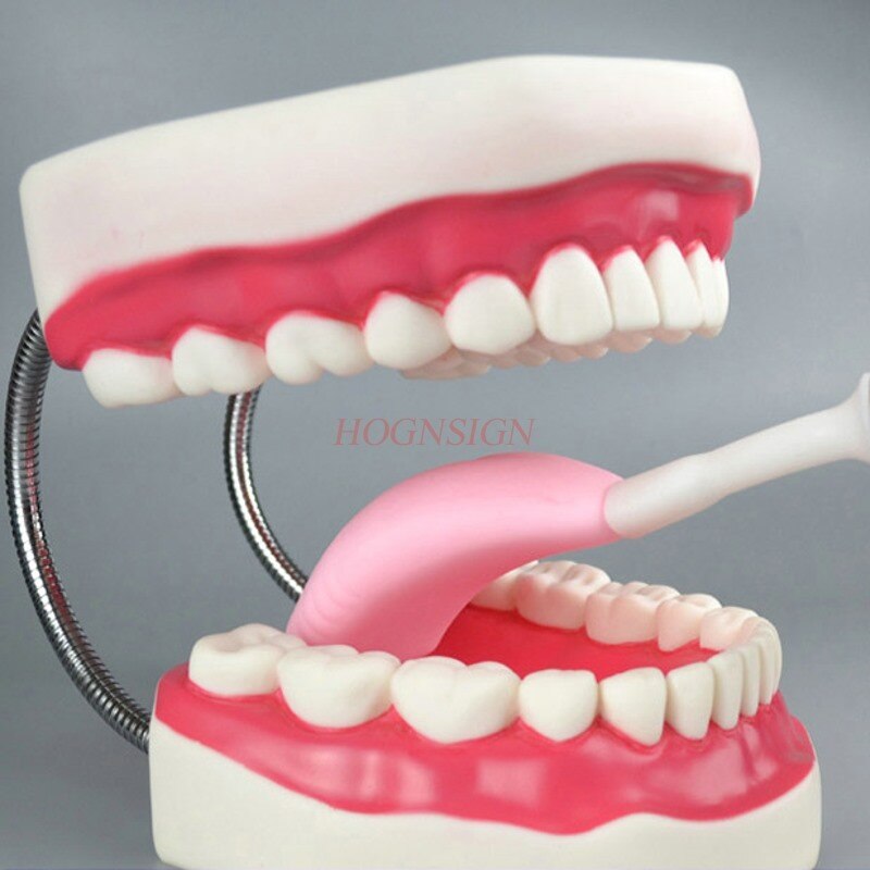 Munn muskel trening apparat sår hals dysfagi afasi tunge låve tunge muntlig strekk tunge muskel rehabilitering