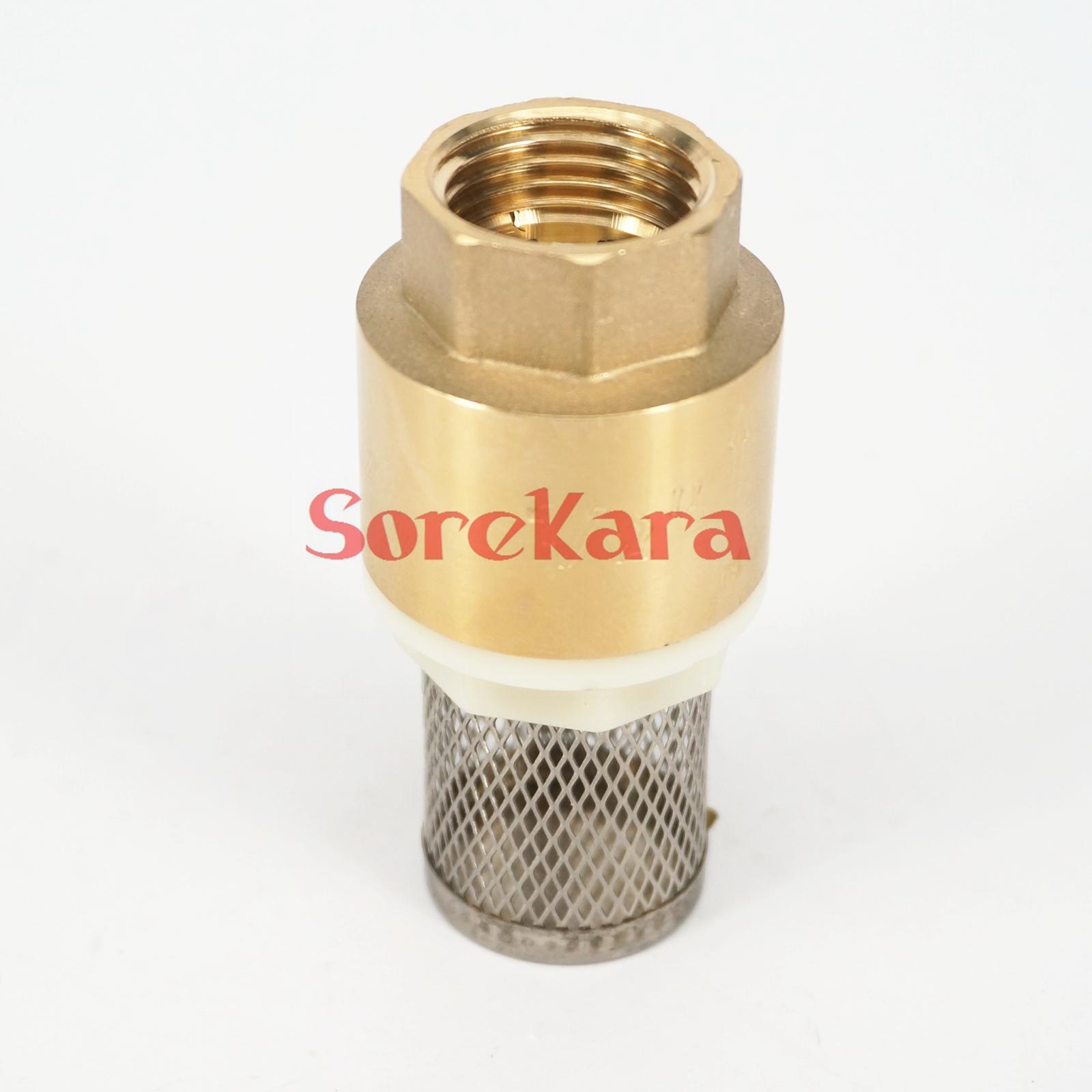 3/4" BSP Female Brass Spring Check Valve With Strainer Filter 1.6Mpa